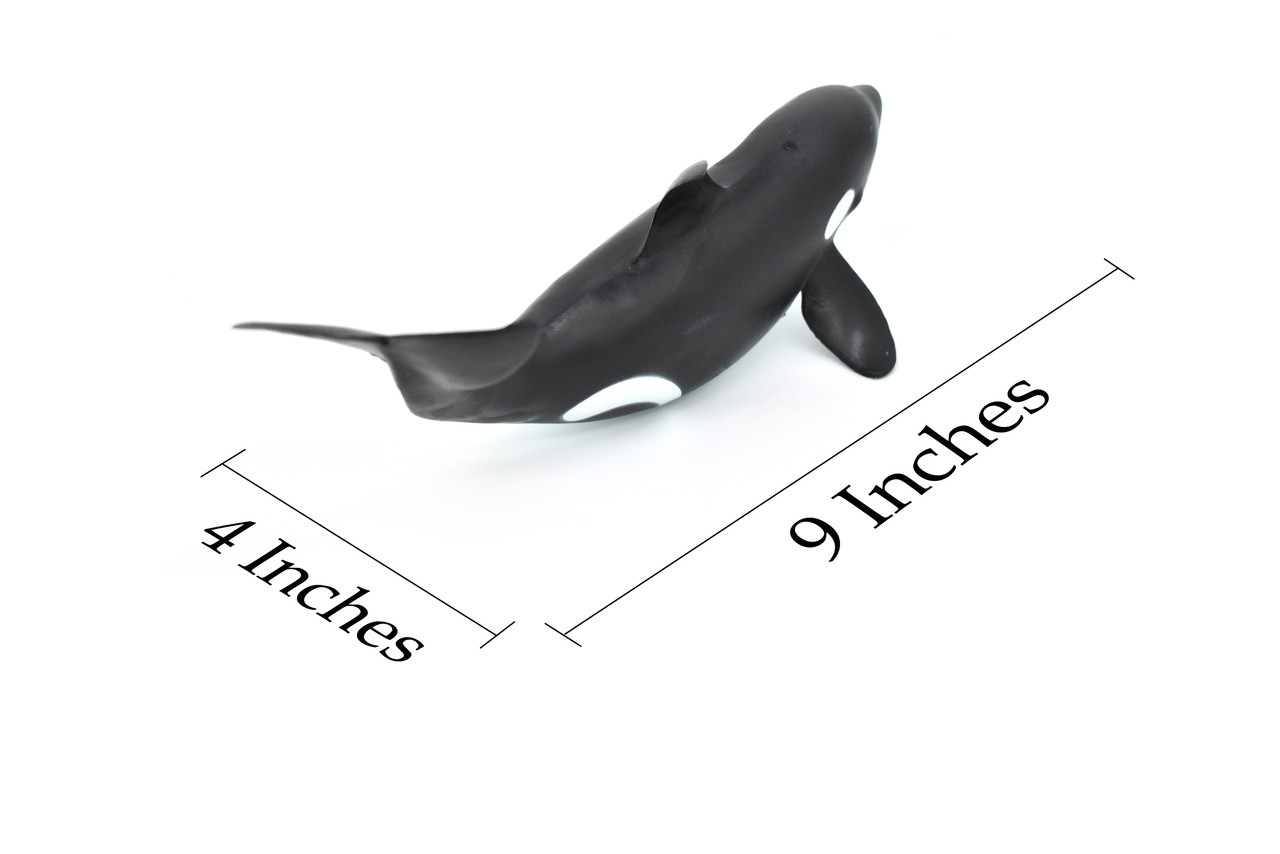 Orca, Killer Whale, Marine Mammal, Soft Rubber,  Animal, Realistic, Figure, Model, Replica, Toy, Kids, Educational,     9 Inches.
