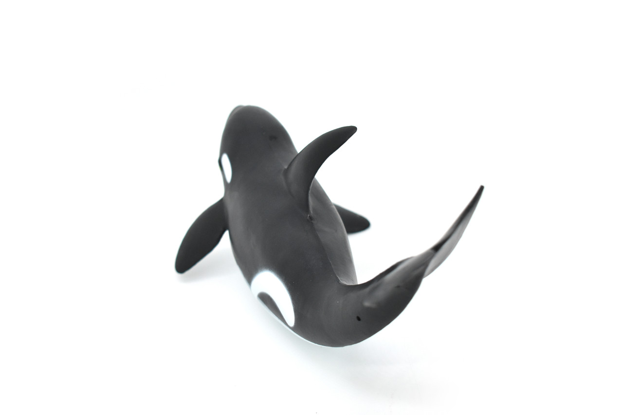 Orca, Killer Whale,  Very Nice Rubber Replica   9"    F097 B494