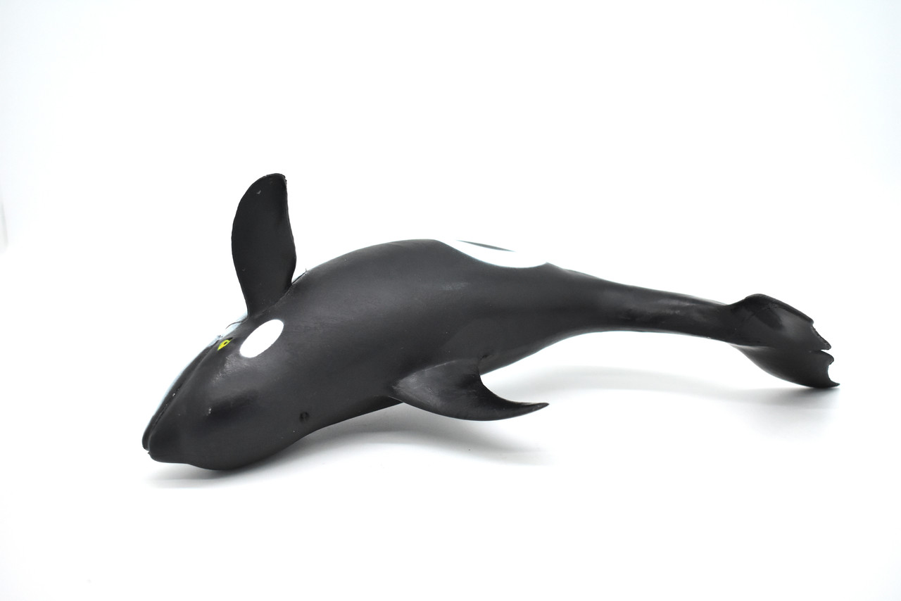 Orca, Killer Whale,  Very Nice Rubber Replica   9"    F097 B494