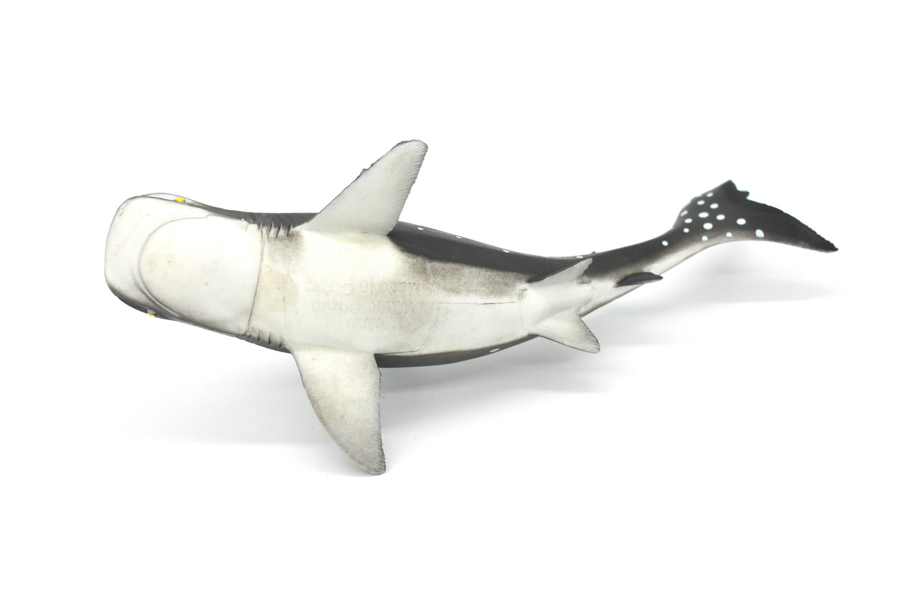 Whale Shark, Realistic Toy Model Rubber Replica Ocean Figure   9"    F096 B494