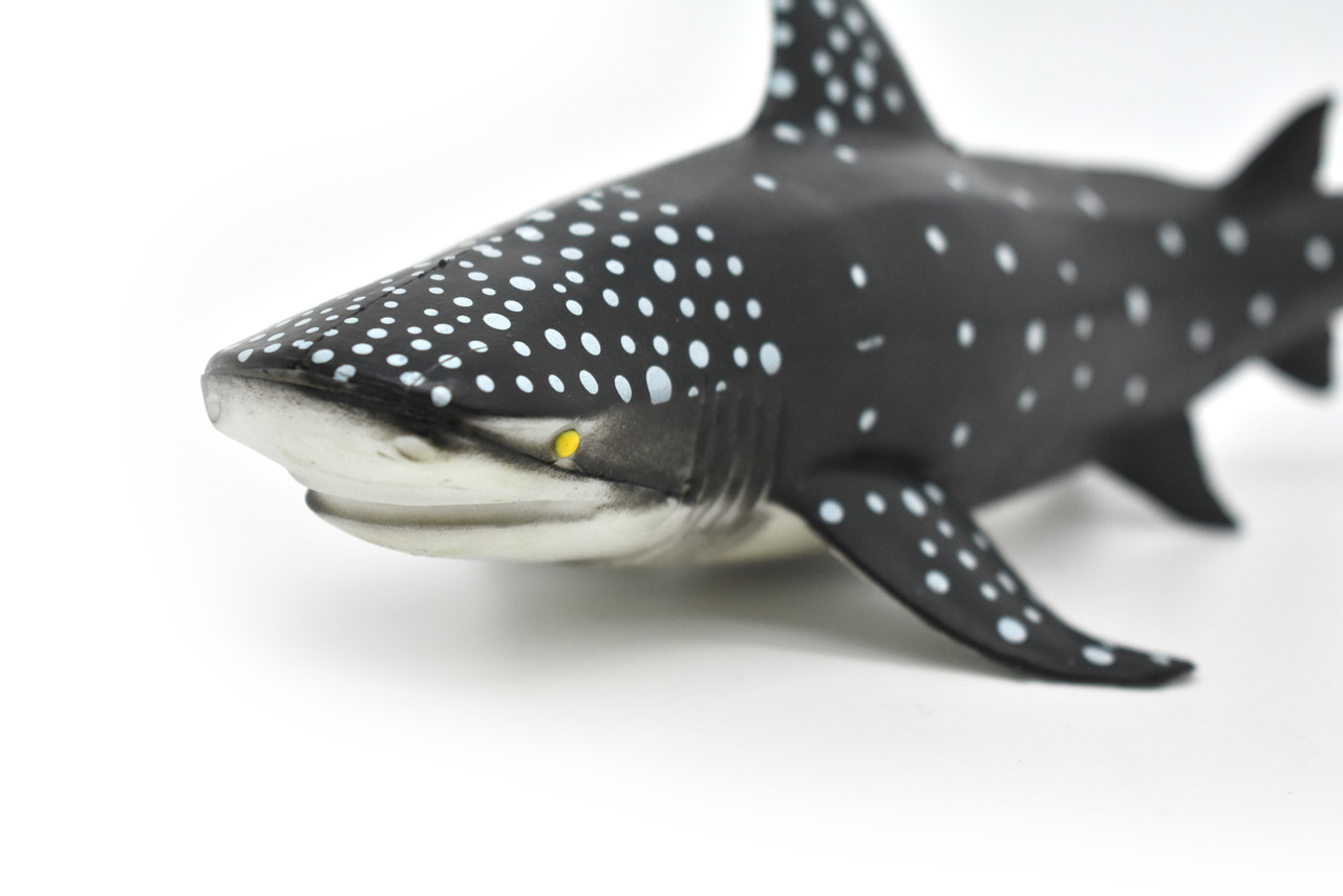 Whale Shark, Very Nice, Hand Painted, Rubber, Marine Fish, Educational, Realistic, Figure, Replica, Toy, Kids, Educational, Gift,      9"    F096 B494