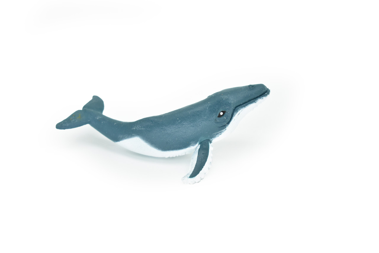 Humpback Whale,  Plastic Replica 3"Long ~ F3906-B9