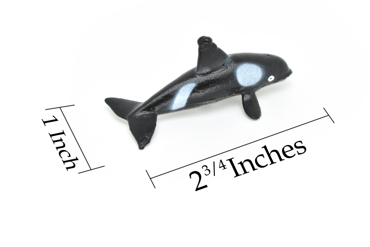 Orca, Killer Whale,  Very Nice Plastic Replica   2 3/4"  -  F601 B35