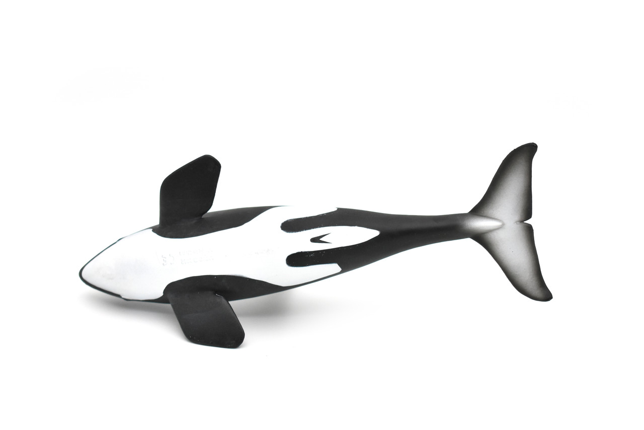 Orca, Killer Whale, Museum Quality Plastic Replica   8"   M034-B636