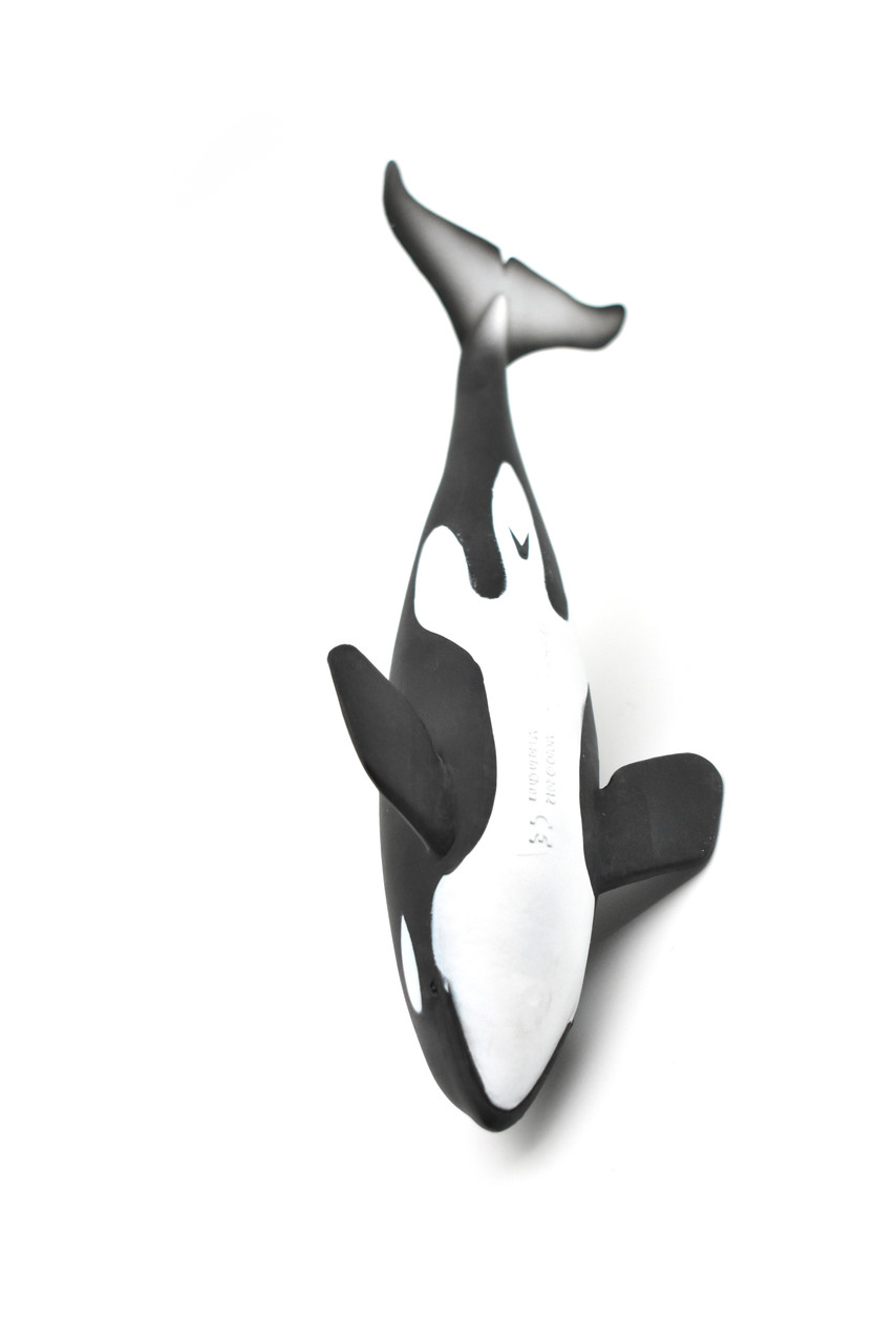 Orca, Killer Whale, Museum Quality Plastic Replica 8