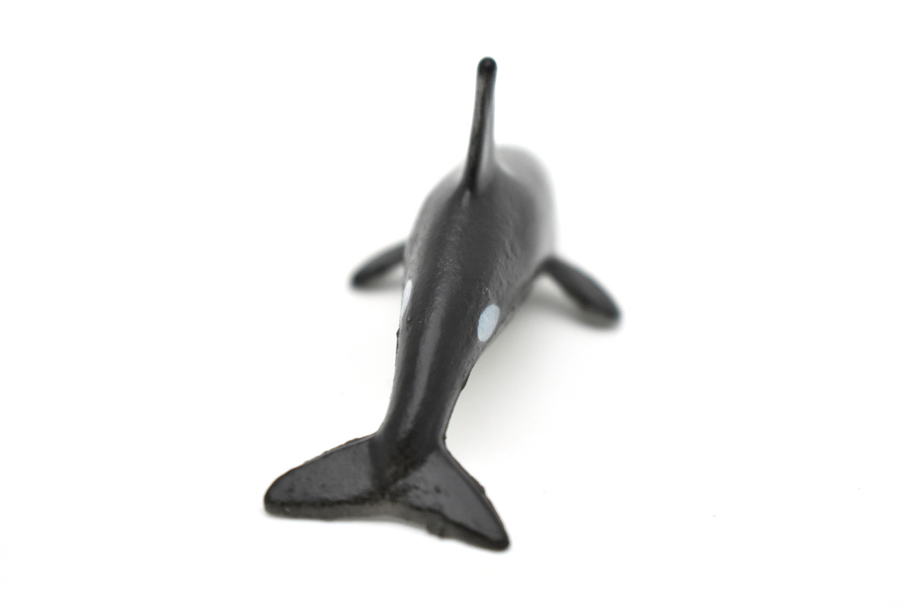 Orca, Killer Whale, Very Nice Plastic Replica   2 1/2"  ~  F0045-B123