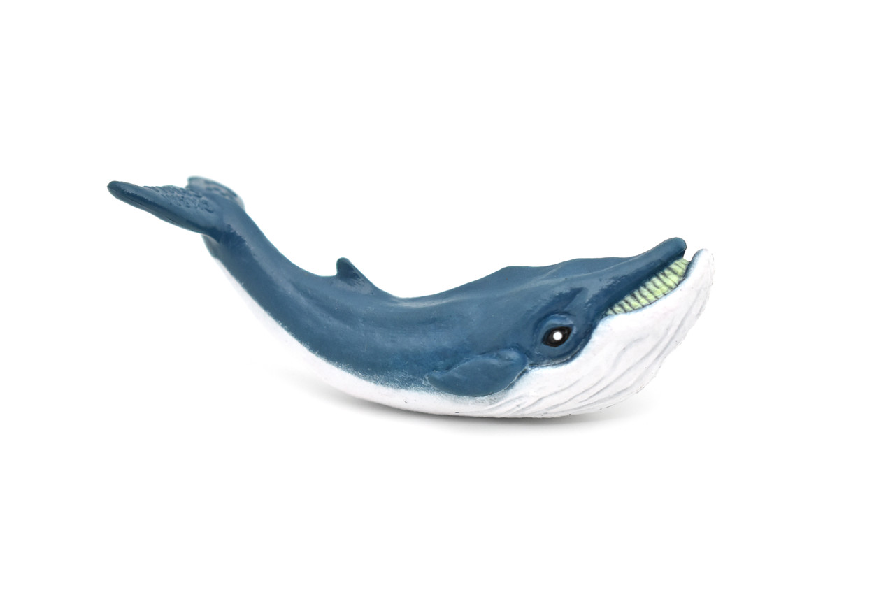 Right Whale, Very Nice Plastic Replica   3"Long ~ F3904-B9