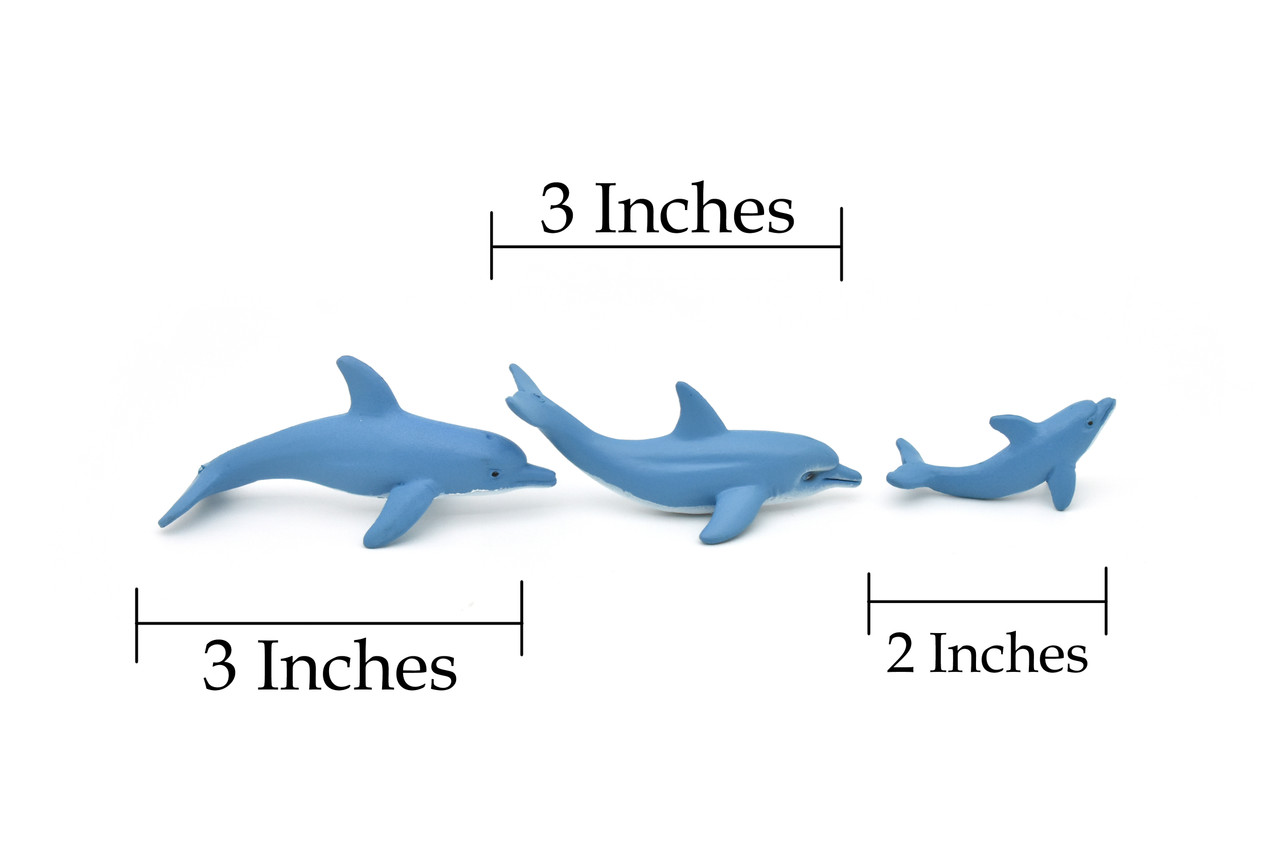 Dolphin Family, Set of 3, Very Nice Rubber Design, Educational, Realistic Figure, Lifelike, Replica,Toy, Kids, Gift,   3 Inches.