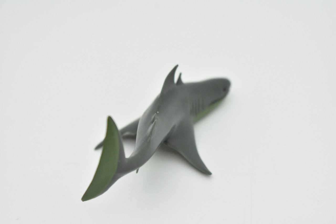 Cladoselache Prehistoric Extinct Shark Realistic Toy Model Plastic Replica, Kids Educational Gift  4" F3158 B627