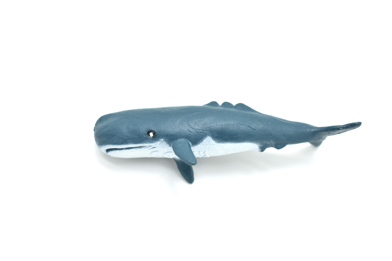 Sperm Whale Plastic Replica ~ F3909-B9