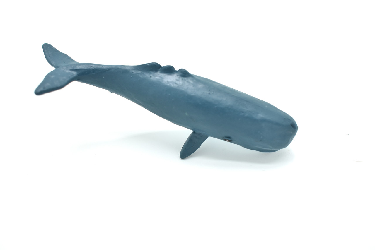 Sperm Whale Plastic Replica ~ F3909-B9