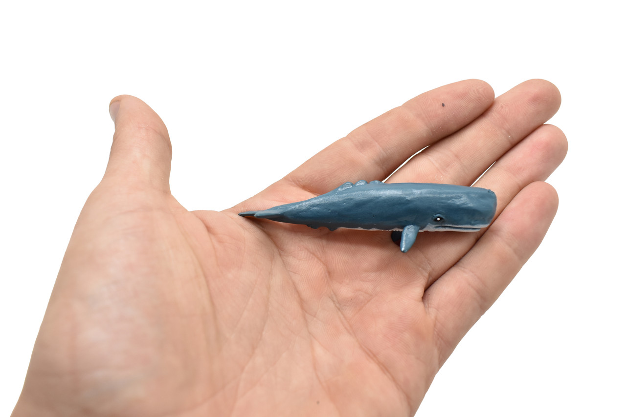 Sperm Whale Plastic Replica ~ F3909-B9