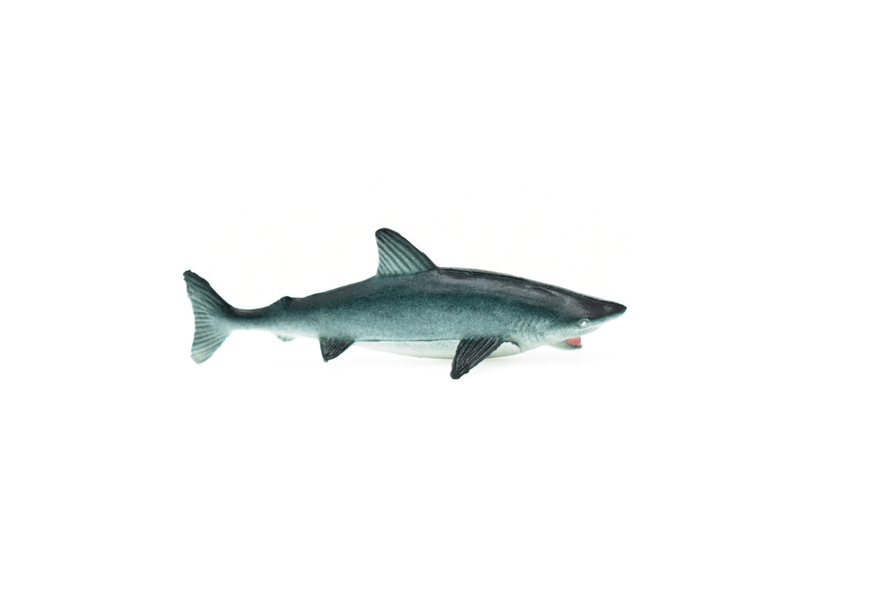 Great White Shark, Very Nice Rubber Design, Hand Painted, Realistic, Figure, Toy, Kids, Educational, Gift,        3"   
