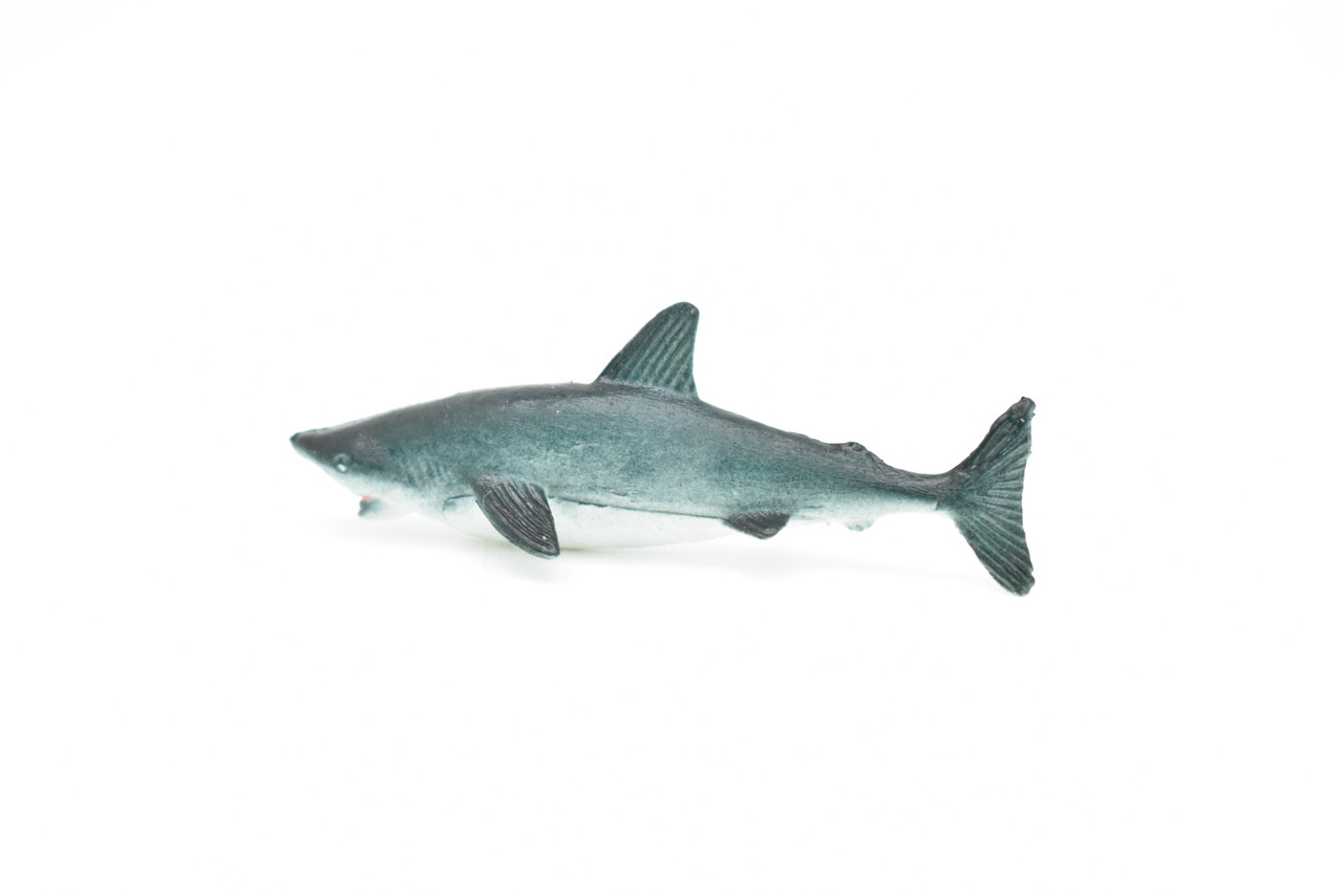 Great White Shark, Very Nice Rubber Design, Hand Painted, Realistic, Figure, Toy, Kids, Educational, Gift,        3"    F598 B34