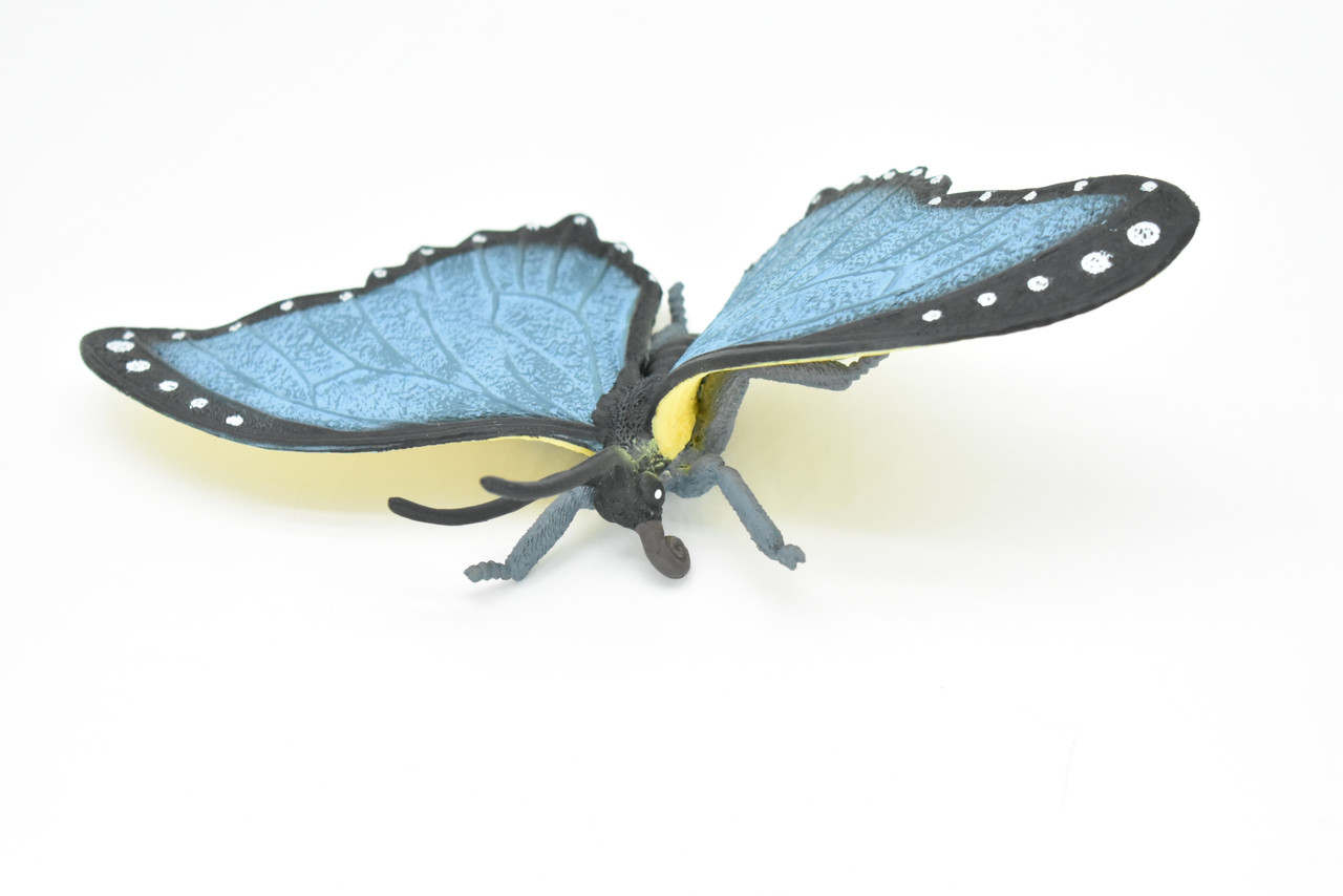 Butterfly, Blue Morpho, Very Nice Rubber Replica    8"   CWG86 B153