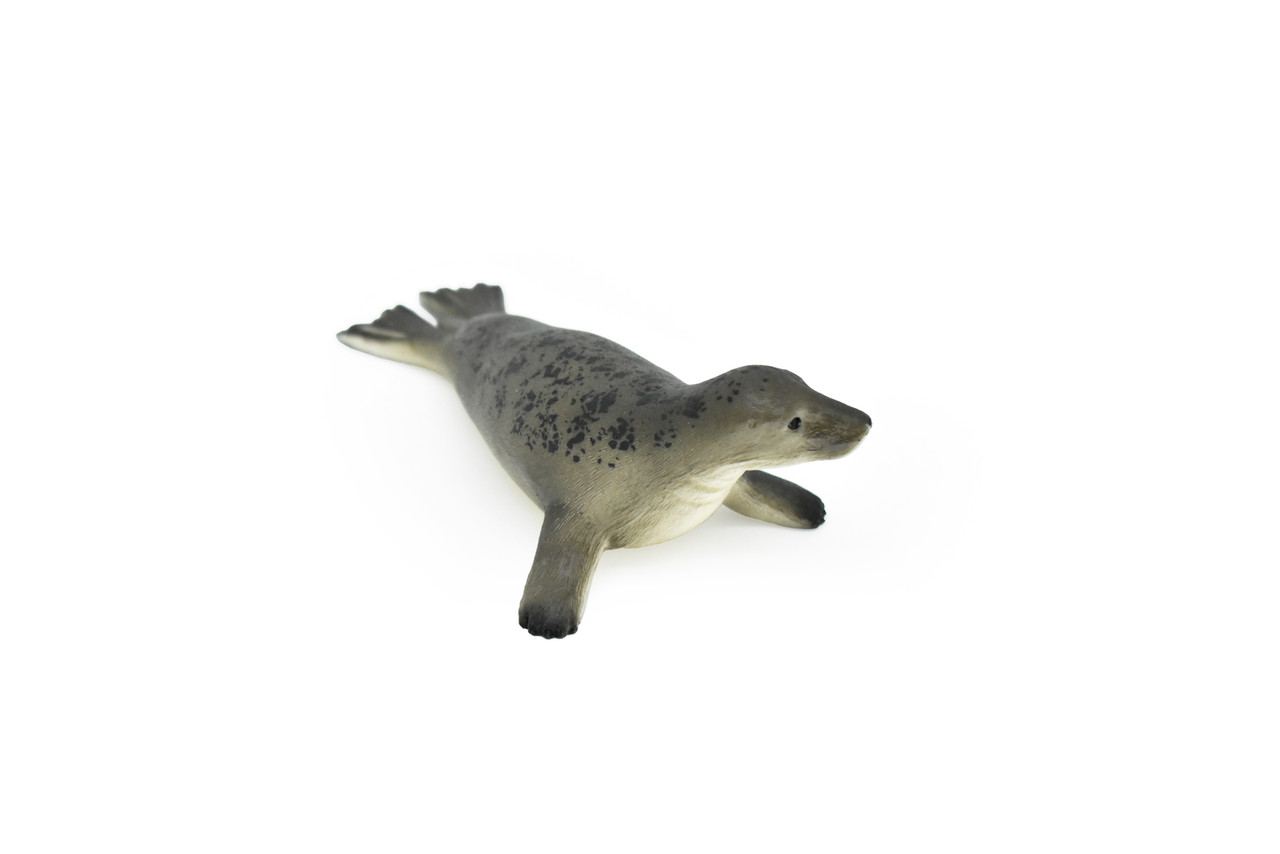 Seal, Grey, Realistic Toy Model Plastic Replica, Kids Educational Gift   4.5" M041 B638