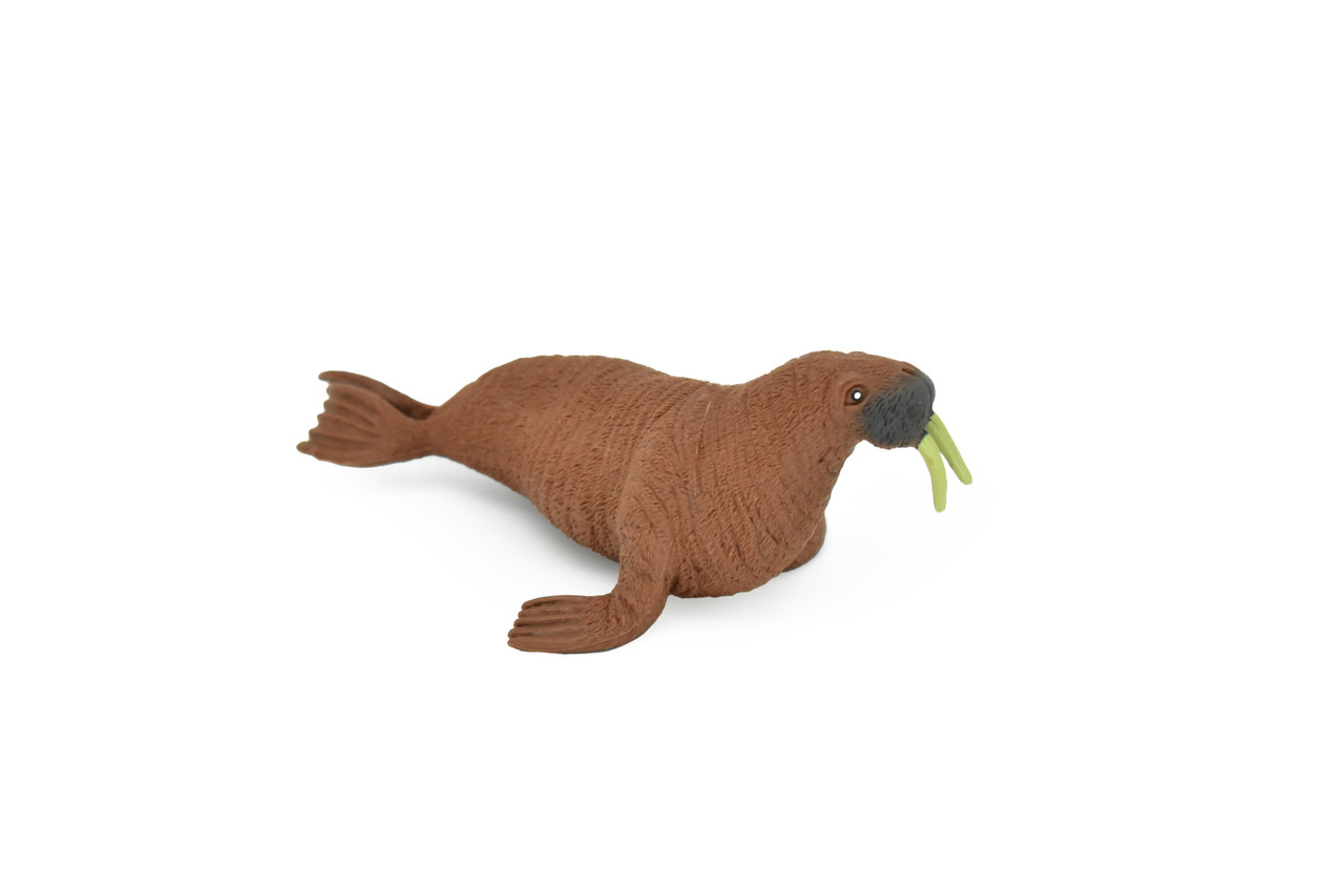 Walrus, Arctic marine mammal, Very Nice Plastic Replica, Hand Painted, Realistic, Saltwater, Educational,  Figure, Lifelike, Diorama Model, Toy, Gift,  5 Inches. 
