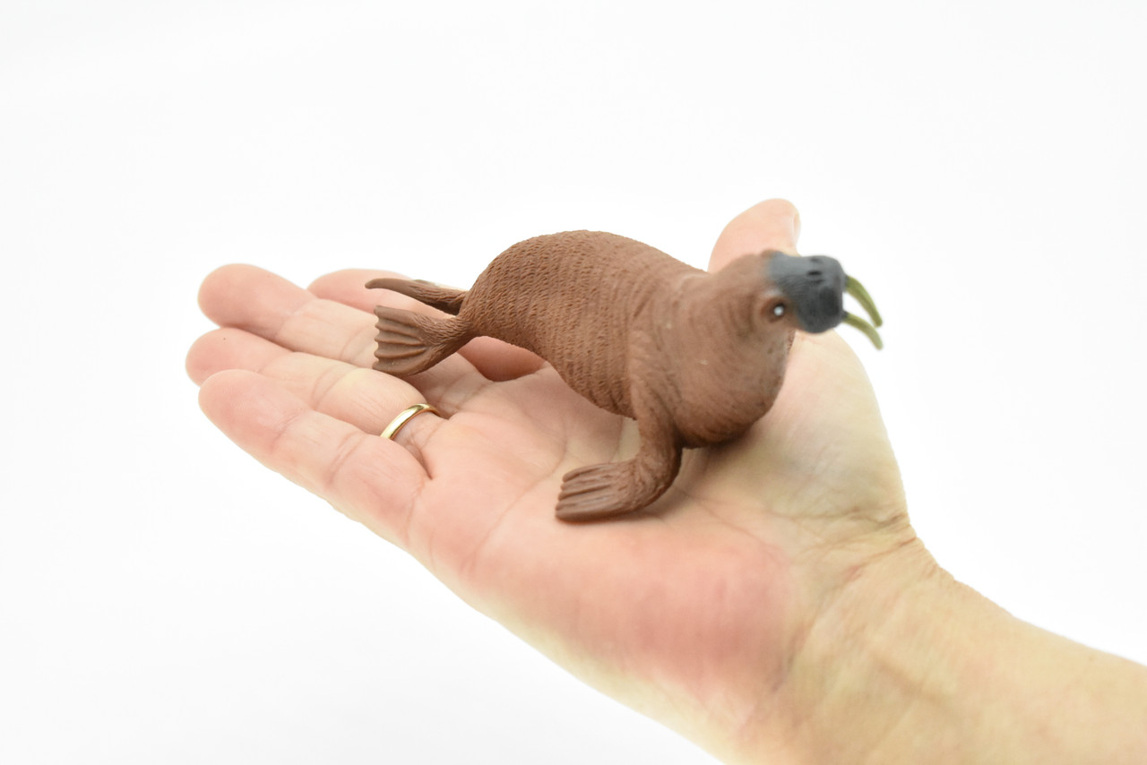 Walrus, Arctic marine mammal, Very Nice Plastic Replica, Hand Painted, Realistic, Saltwater, Educational,  Figure, Lifelike, Diorama Model, Toy, Gift,  5 Inches. 