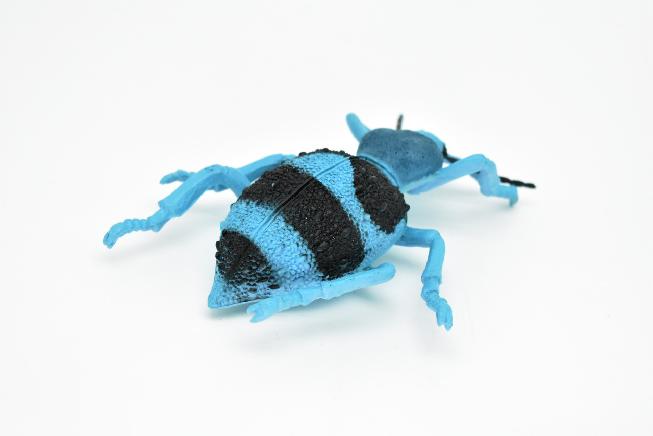 Beetle, Blue and Black, Very Nice Rubber Replica   5" - F2065 B133