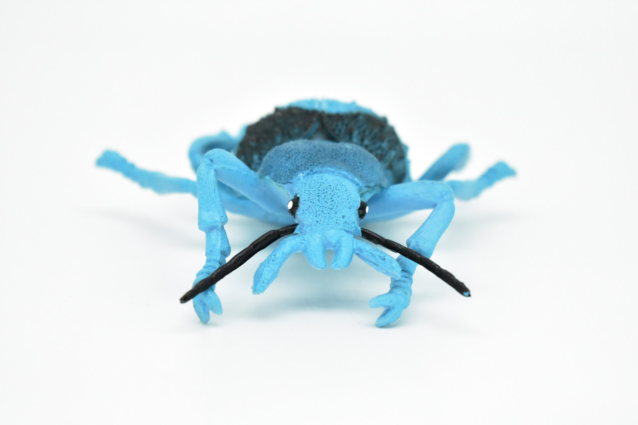 Beetle, Blue and Black, Very Nice Rubber Replica   5" - F2065 B133