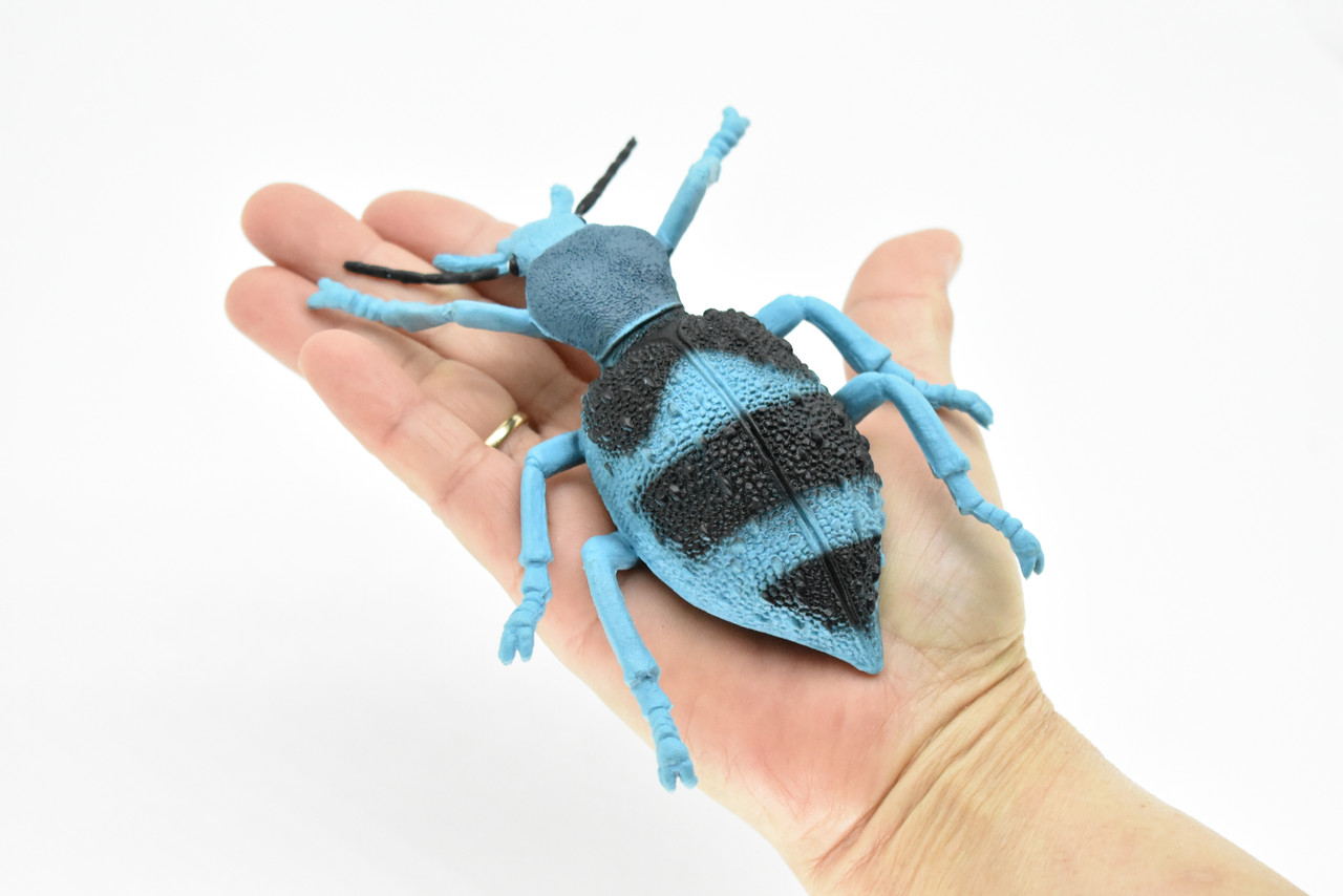 Beetle, Blue and Black, Very Nice Rubber Replica   5" - F2065 B133