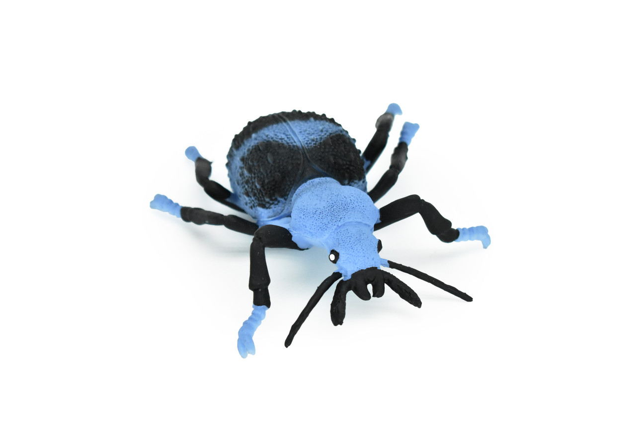 Beetle, Blue and Black, Very Nice Rubber Replica   5" - CWG85 B153