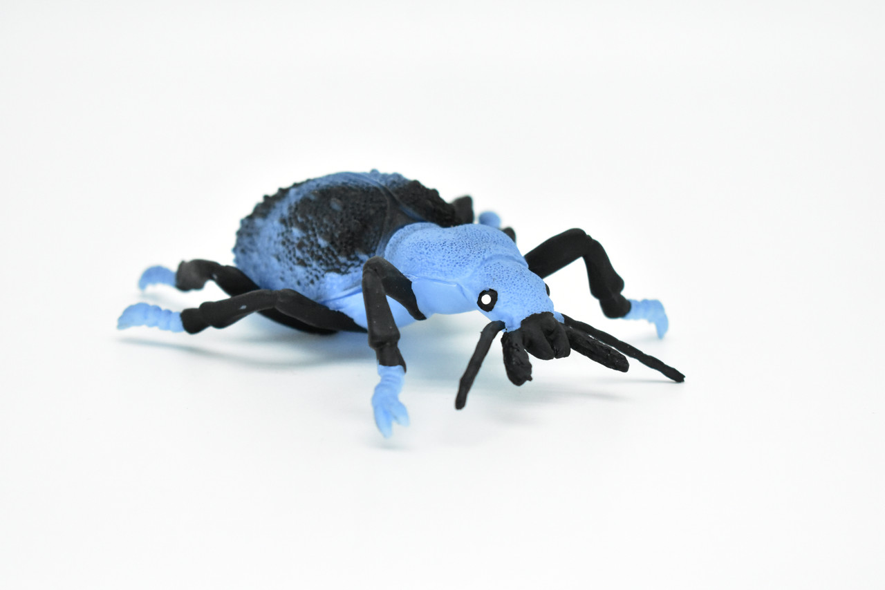 Beetle, Blue and Black, Very Nice Rubber Replica   5" - CWG85 B153