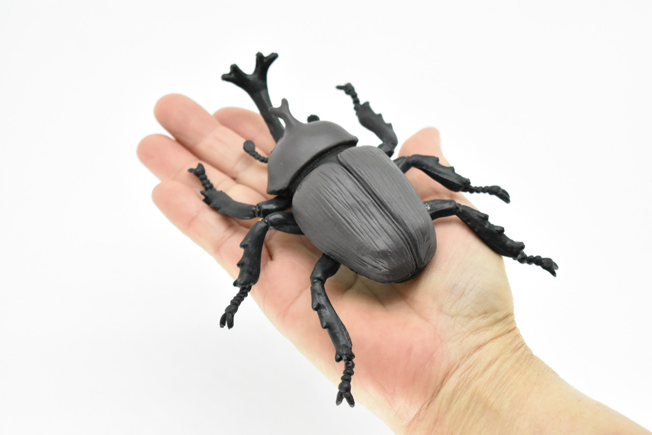 Beetle Rhinoceros, Black, Very Nice Rubber Replica  5 1/2"    CWG82 B153