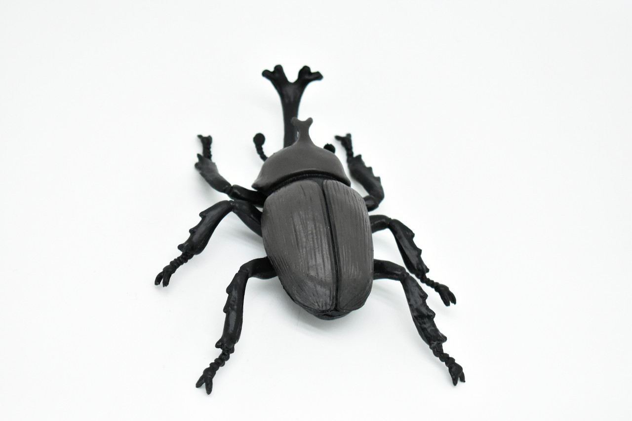 Beetle Rhinoceros, Black, Very Nice Rubber Replica  5 1/2"    CWG82 B153