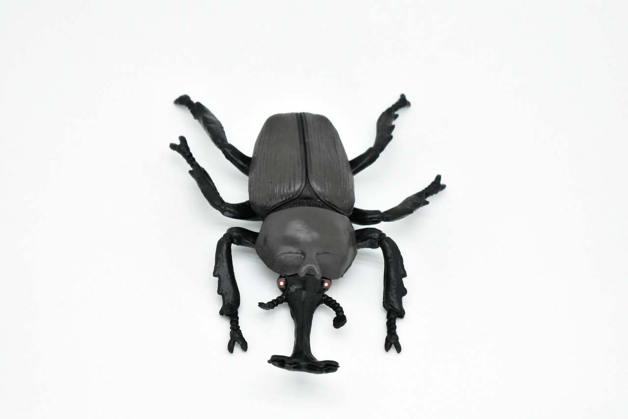 Beetle Rhinoceros, Black, Very Nice Rubber Replica  5 1/2"    CWG82 B153