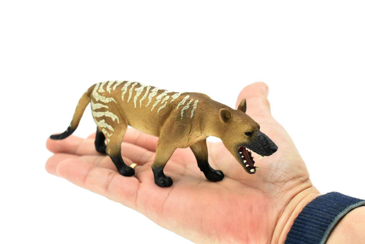 Hyaenodon Dinosaur, Prehistoric Wolf, Realistic Toy Model Plastic Replica, Kids Educational Gift     6"     M013 B631