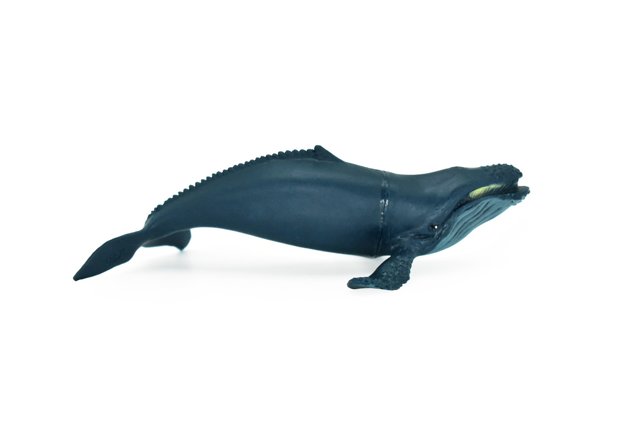 Humpback Whale, Very Nice Plastic Replica   6"   CWG91 B239