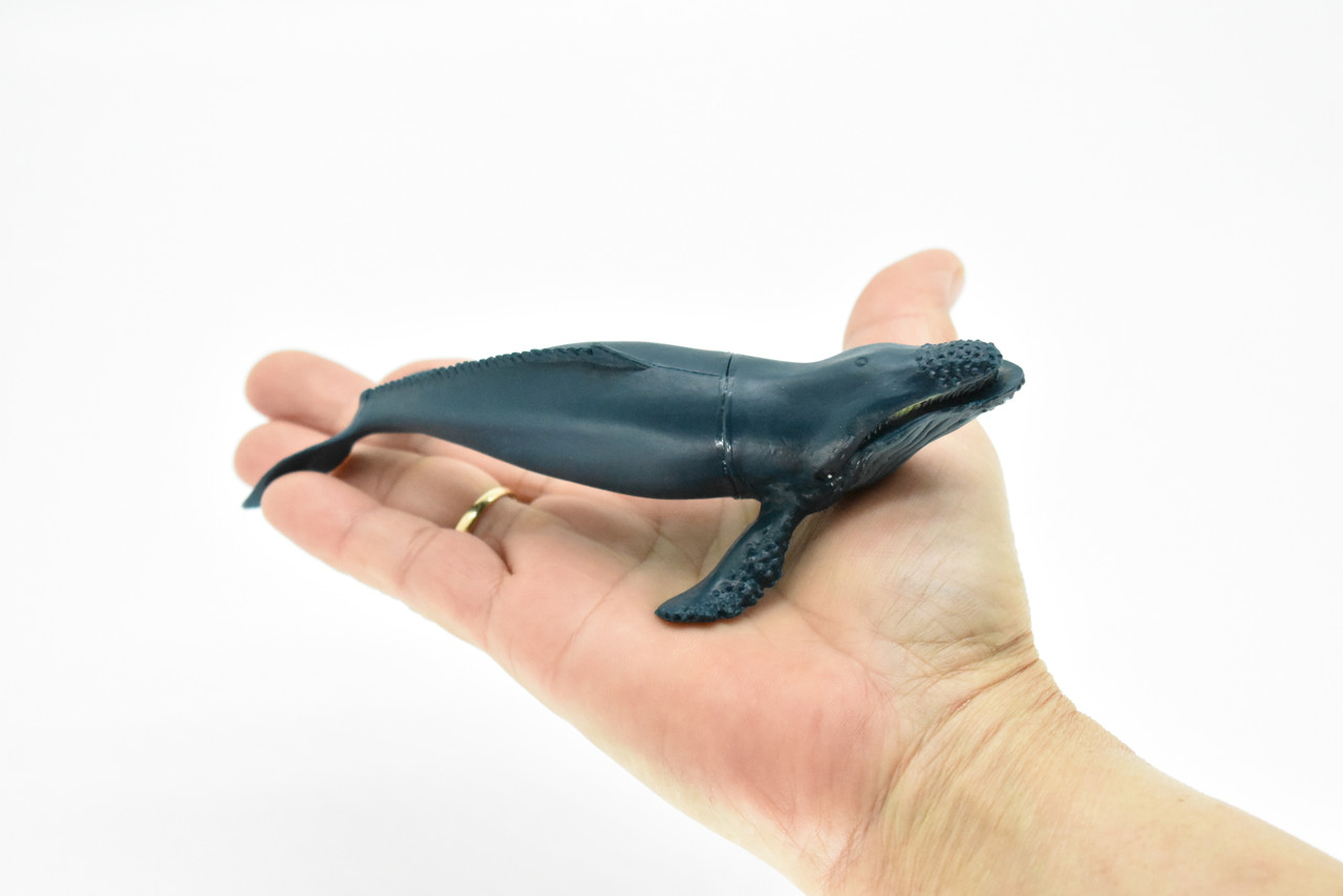 Humpback Whale, Megaptera novaeangliae, Hand Painted, Realistic, Soft Rubber, Saltwater, Educational,  Figure, Lifelike, Diorama Model, Toy,  6 Inches. 