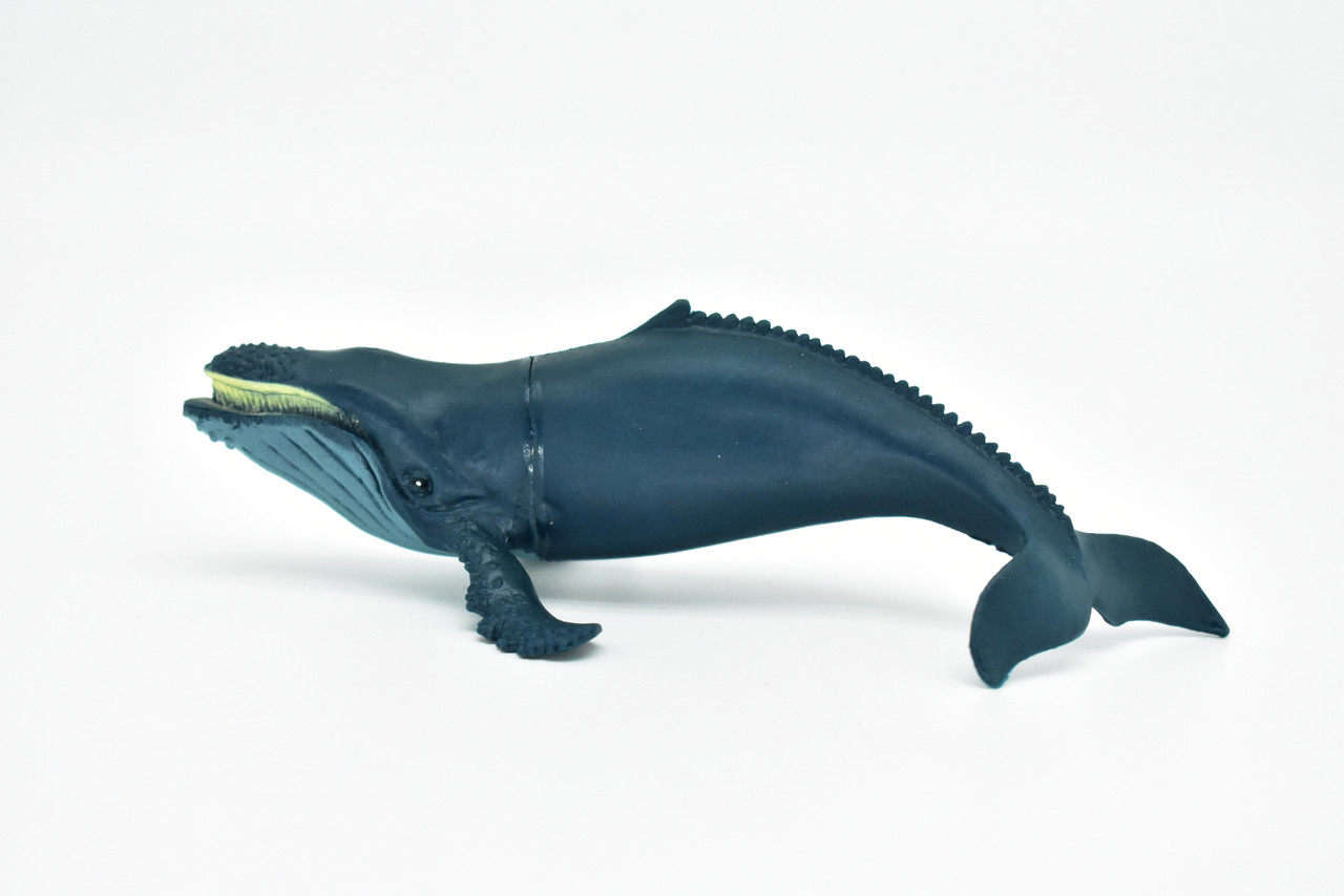 Humpback Whale, Very Nice Plastic Replica   6"   CWG91 B239