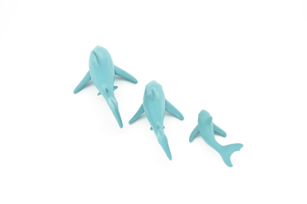Great white Shark, Set of Three, Very Nice Rubber Design, Educational, Realistic Figure, Lifelike, Replica, Toy, Kids, Gift,   4 Inches.    F3913 B619