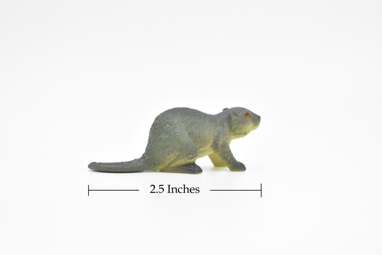 Beaver, Castor, Very Nice Plastic Animal Figure, Model, Figurine, Educational, Animal, Kids, Gift, Toy,   2 1/2"   CWG102 B237