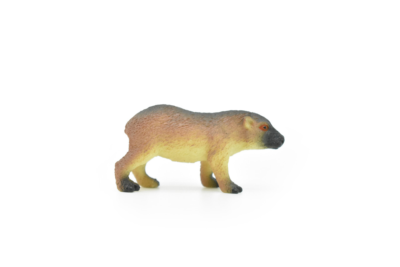 Capybara, Greater capybara, Very Nice Plastic Animal Figure, Model, Figure, Figurine, Educational, Animal, Kids, Gift, Toy,    2 1/2"    CWG104 B237