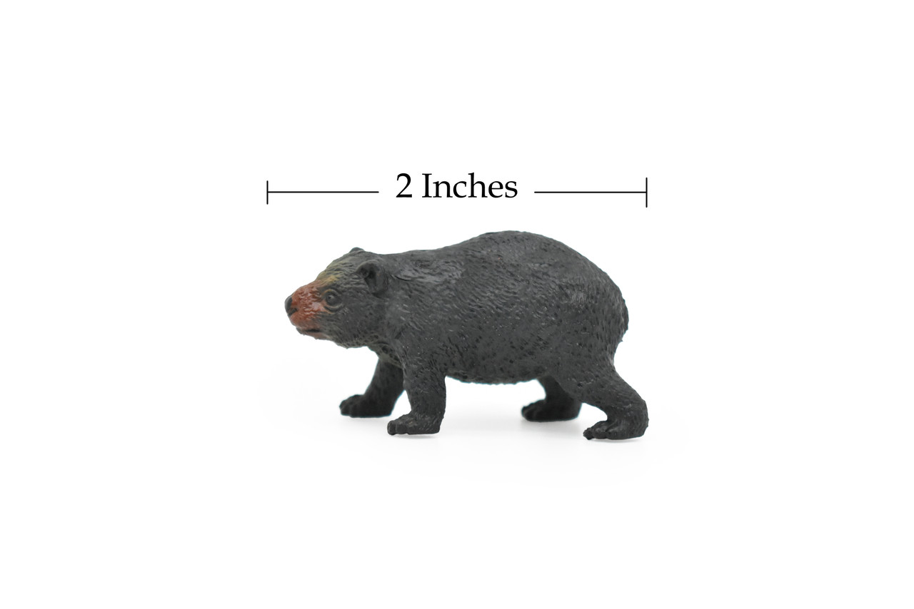 Wombat, Marsupials, Very Nice Plastic Animal Figure, Model, Figure, Figurine, Educational, Animal, Kids, Gift, Toy,   2 "    CWG106 B237