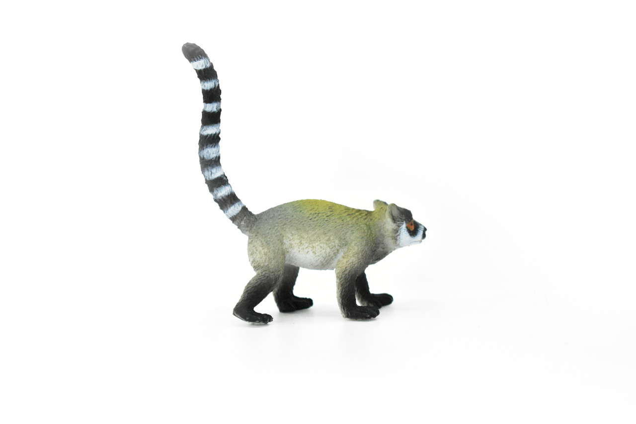 Ringtail Lemur, Ring-Tailed, Very Nice Plastic Animal Figure, Model, Figure, Figurine, Educational, Animal, Kids, Gift, Toy,    3"    CWG110 B237