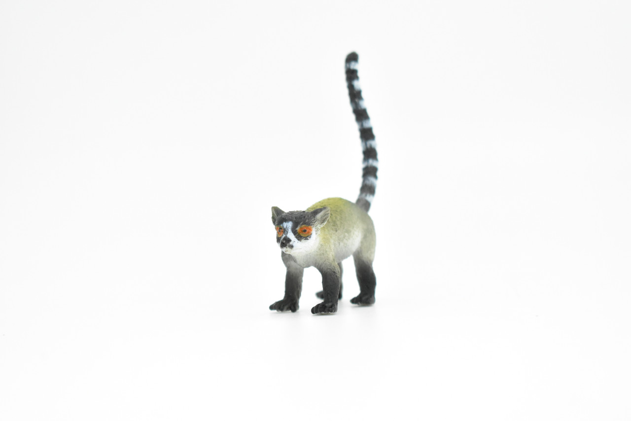 Ringtail Lemur, Ring-Tailed, Very Nice Plastic Animal Figure, Model, Figure, Figurine, Educational, Animal, Kids, Gift, Toy,    3"    CWG110 B237