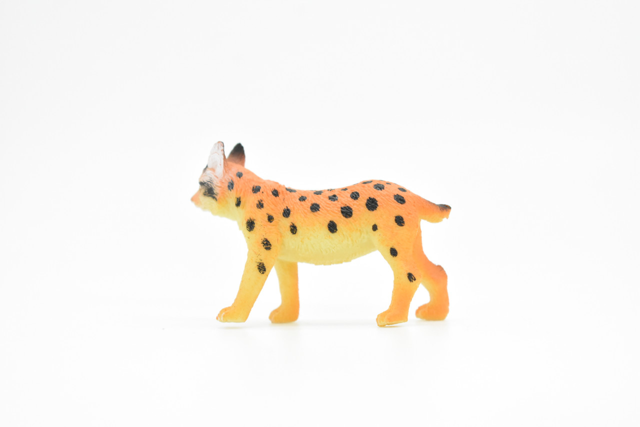 Bobcat, Lynx rufus, North America Wildcat, Very Nice Plastic Animal, Hand Painted, Educational, Realistic, Lifelike, Diorama Model, Toy, Kids,  2 Inches.  
