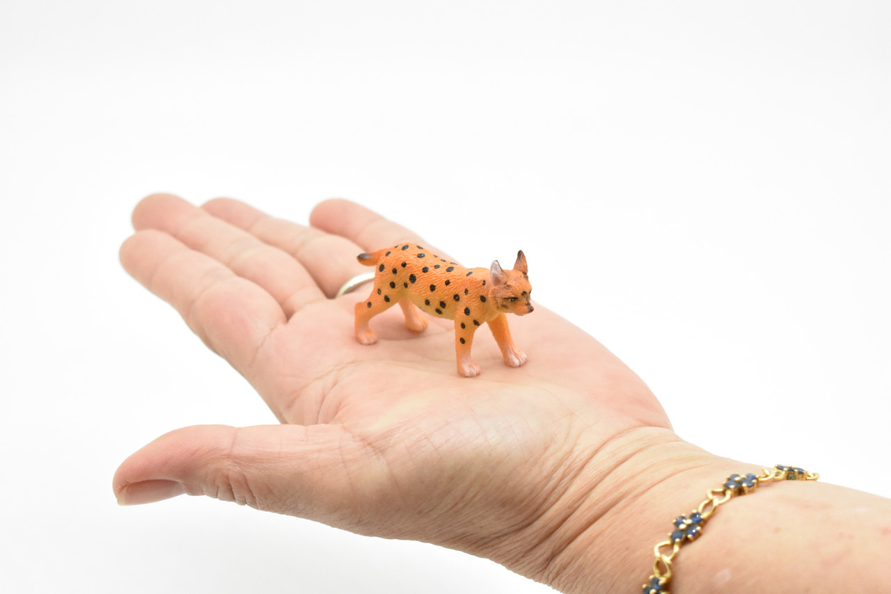 Bobcat, Lynx rufus, North America Wildcat, Very Nice Plastic Animal, Hand Painted, Educational, Realistic, Lifelike, Diorama Model, Toy, Kids,  2 Inches.  