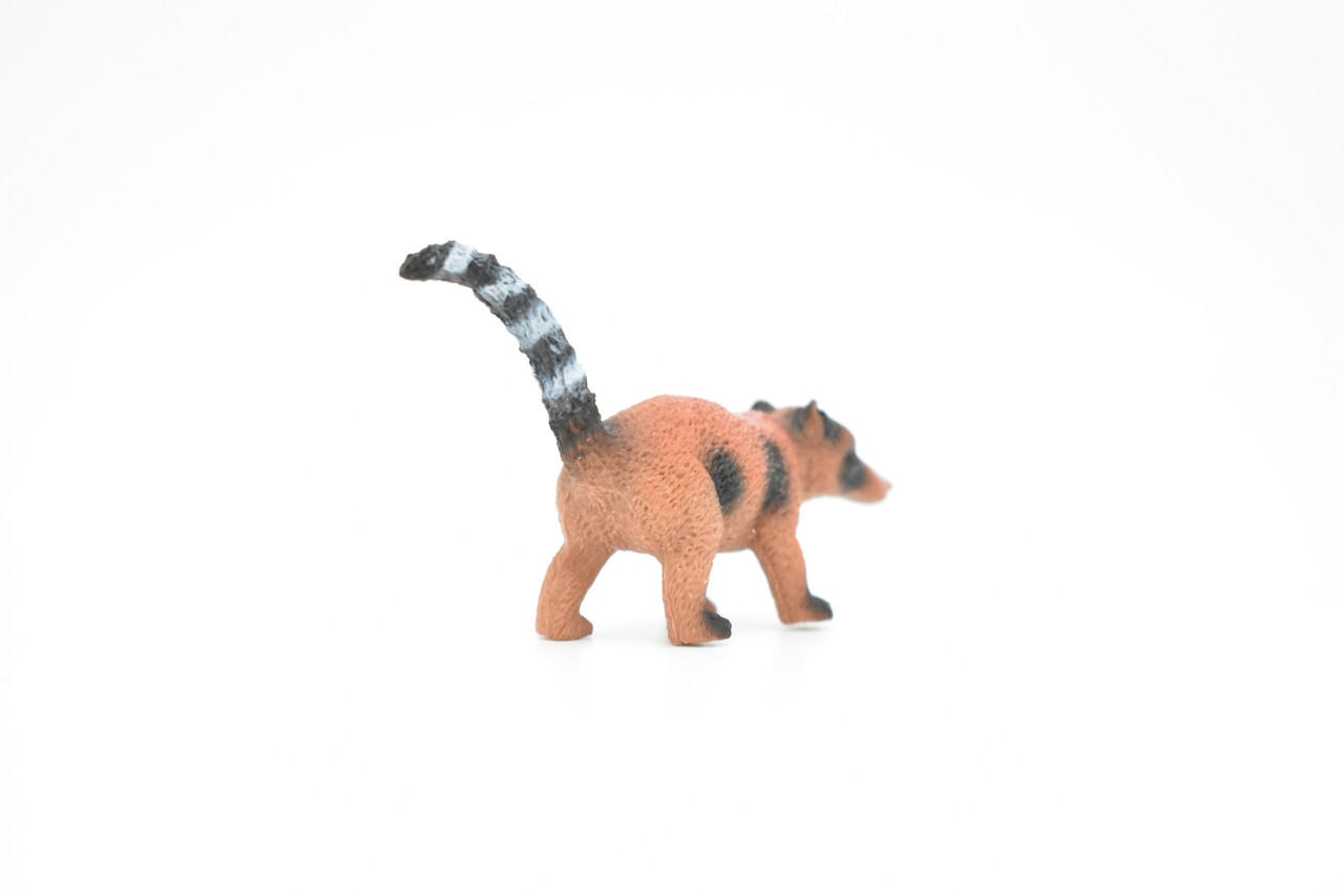 Coati, Coatimundis, White Nosed, Very Nice Plastic Animal, Model, Figurine, Educational, Animal, Kids, Gift   2 1/2 "    CWG115 B237