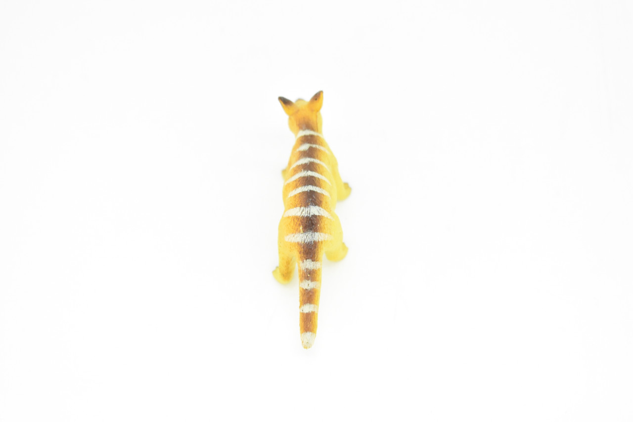 Numbat, Walpurti,  Plastic, Animal, Replica, Figure, Model, Figurine, Educational, Animal, Kids, Gift, Toy    3"    CWG116 B237