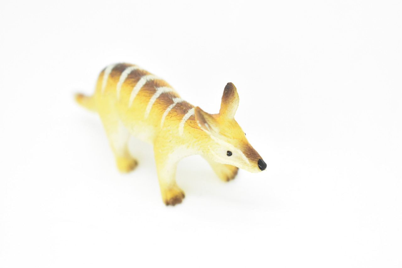 Numbat, Walpurti,  Plastic, Animal, Replica, Figure, Model, Figurine, Educational, Animal, Kids, Gift, Toy    3"    CWG116 B237