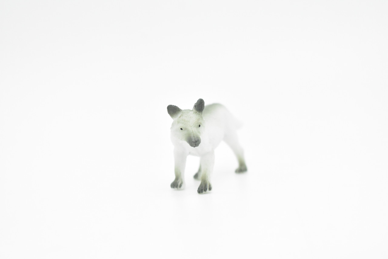 Arctic fox, White fox, Polar, Vulpes lagopus, Hand Painted, Realistic, Very Nice Plastic Design, Artic Animal,  Educational, Diorama Model, Lifelike, Toy,  3 Inches.