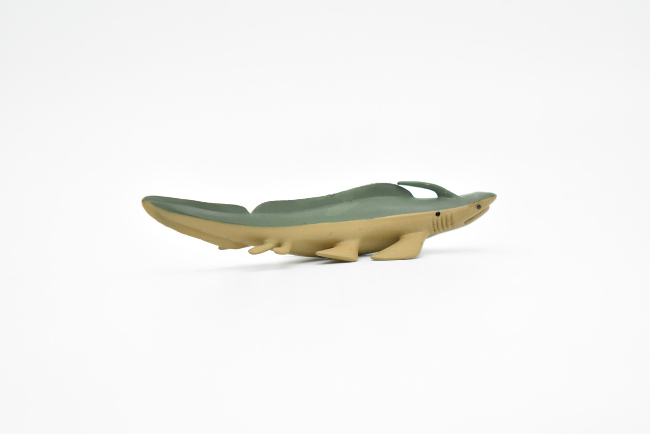 Xenacanthus Extinct Shark Toy Plastic Replica 4"  Long F3159-B627