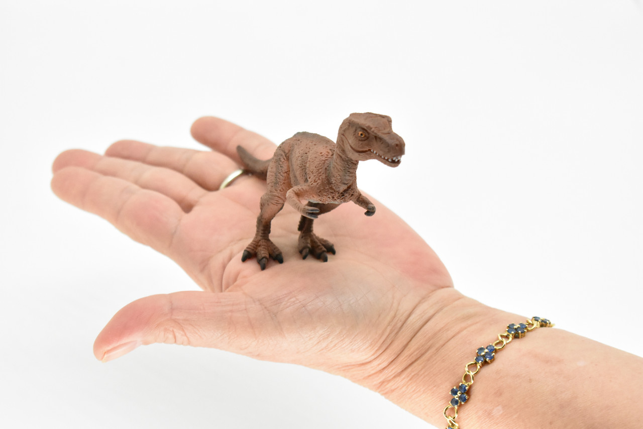 Tyrannosaurus rex, T. Rex, Dinosaur, Baby, Museum Quality Plastic Replica 5"