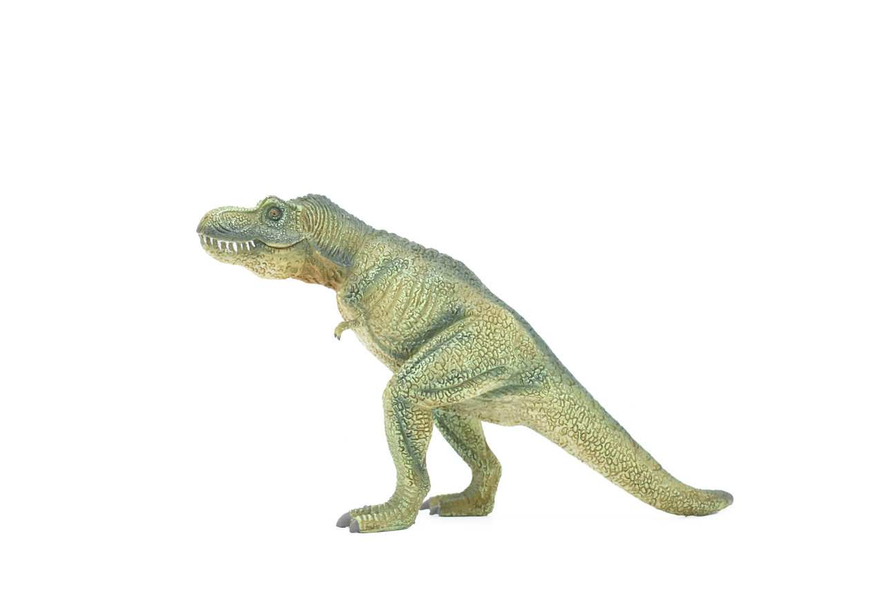 Tyrannosaurus rex, T. Rex, Dinosaur, Museum Quality Plastic Replica  9"L x 4.5"T  M014-B631