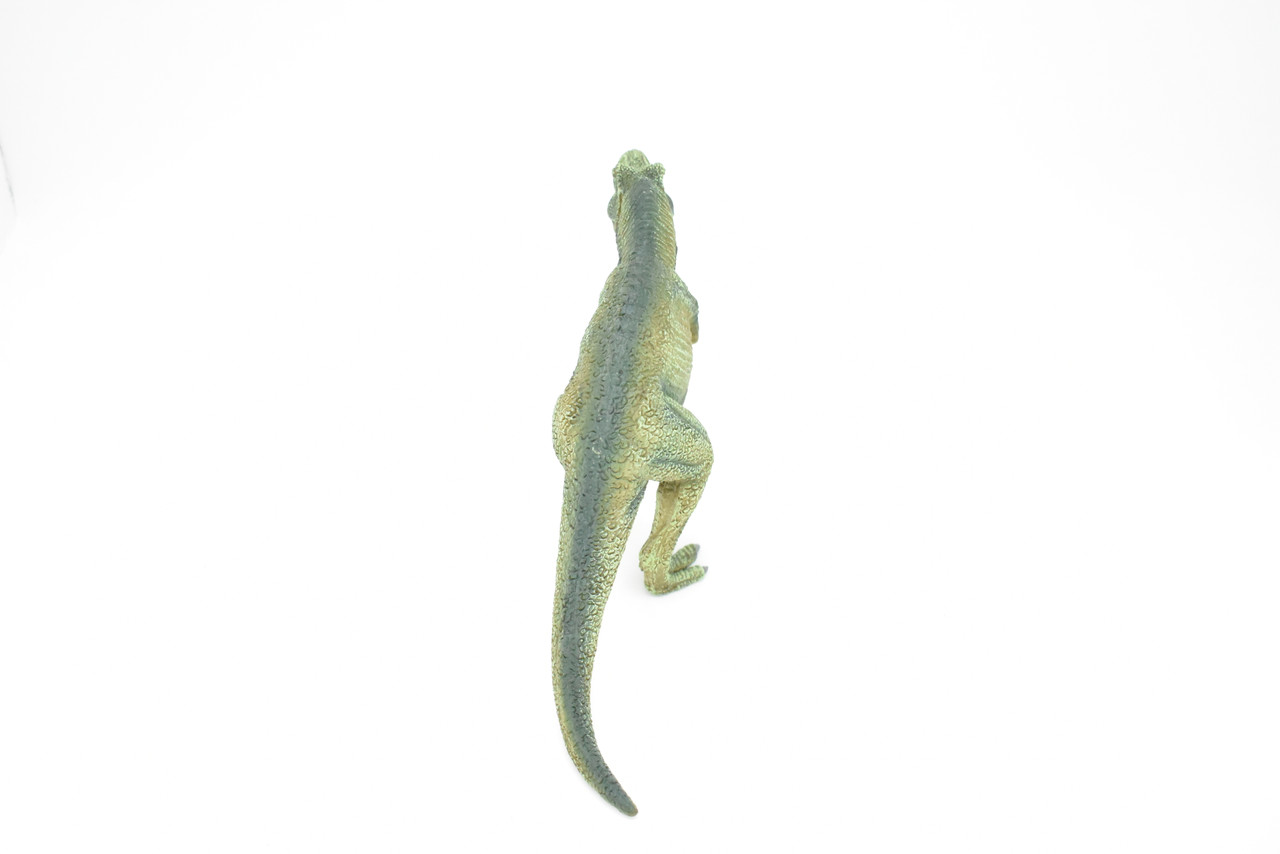 Tyrannosaurus rex, T. Rex, Dinosaur, Museum Quality Plastic Replica  9"L x 4.5"T  M014-B631